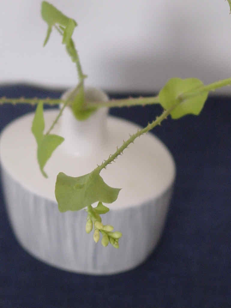 LINNET linen Chambray IndigoBlue